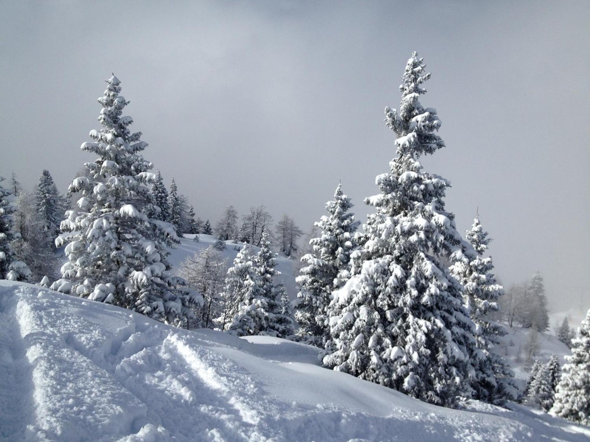 Lory - - Dolomiti Hotel 3*